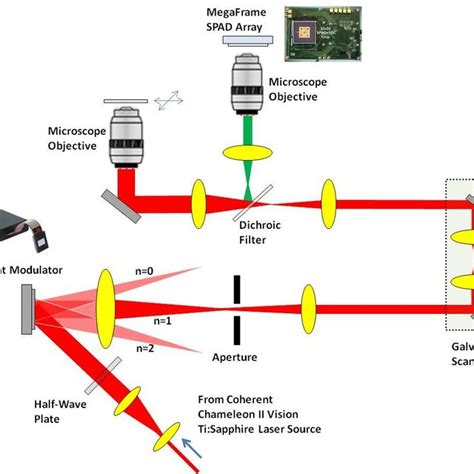SPAD Array Mimo に対する画像結果