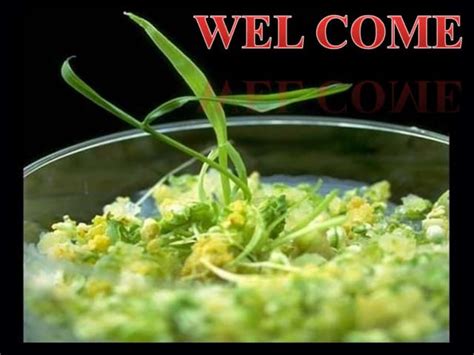 Toradh íomhá ar Types of Production Steps