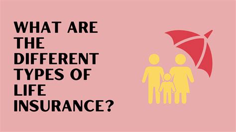 Image result for Different Types of Life Insurance