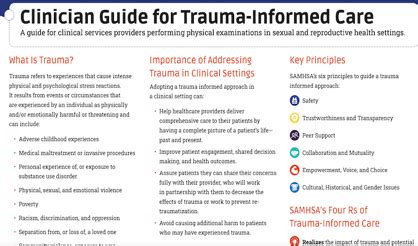 Image result for Trauma-Informed Interventions PDF
