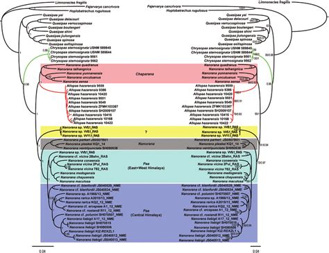 Afbeeldingsresultaten voor Bayesian Tree Flip