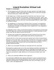 Image result for Lizard Evolution Virtual Lab Answer Key