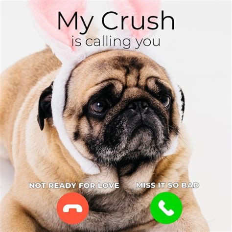 Image result for Calling/Texting Meme