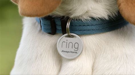 Image result for Lab Mouse Ring Tag