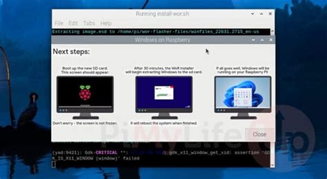 Toradh íomhá ar Raspberry Pi OS Window