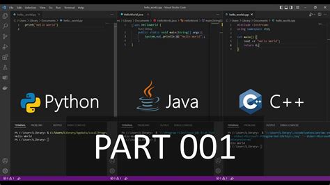 Image result for Java/Python C++ Project