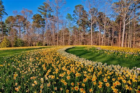 Image result for Atlanta Late Afternoon Spring