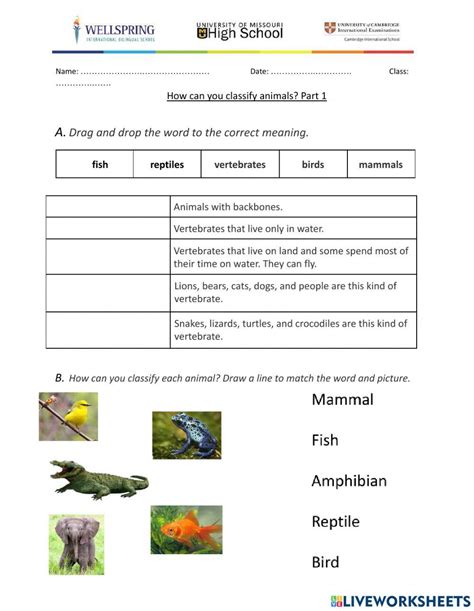 Image result for Classifying Animals Worksheet