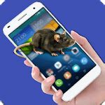 Image result for Mice Running On Computer Screen