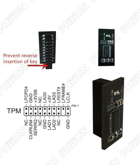 Image result for Asus TPM 2.0 Module