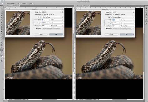 Image result for Resolution to Screen Size Pixel