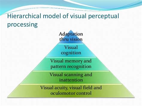 Afbeeldingsresultaten voor Model of Visual Processing