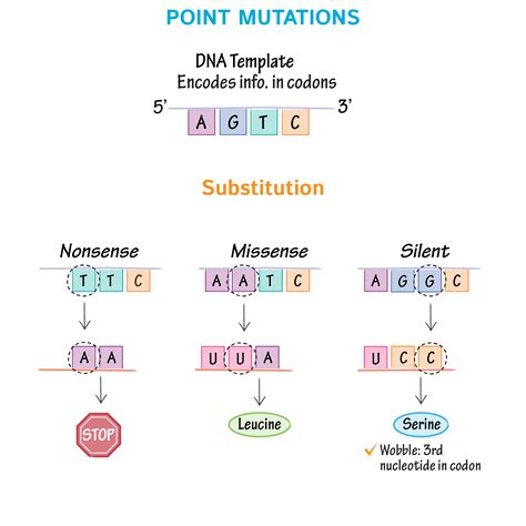 Toradh íomhá ar Mutation in Species