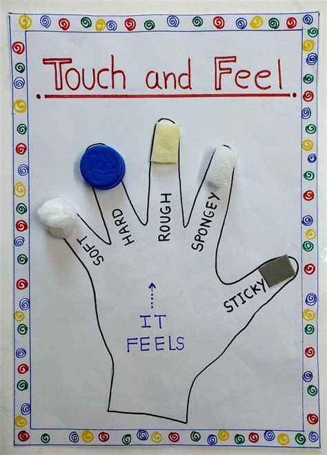 Image result for Touch and Feel Items