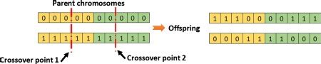 Image result for Edge Crossover Genetic Algorithm