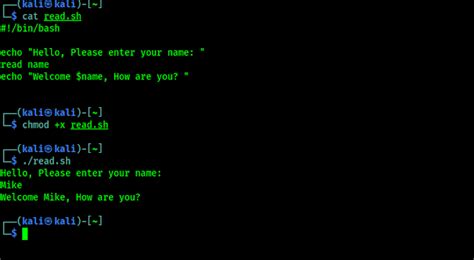 Image result for Kali Linux Script