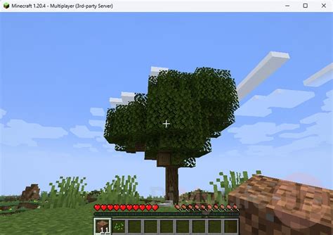 Image result for How to Make a Server in MC Java