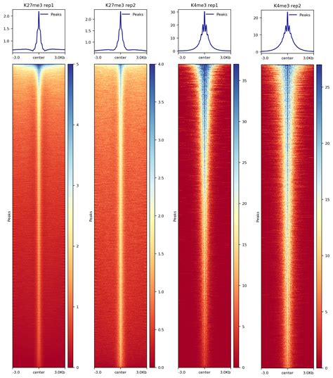 Toradh íomhá ar Cut and Tag Tutorial