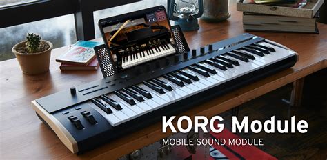 Image result for Korg Sound Module