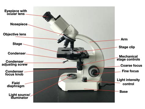 Image result for Microscope Check Profile Part