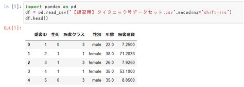 Data Coding Python に対する画像結果