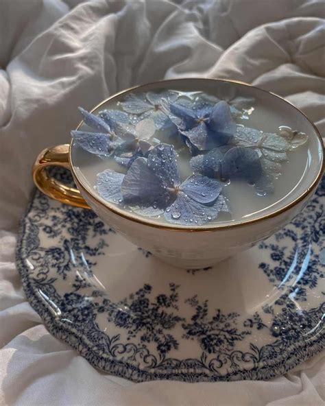 Toradh íomhá ar Aesthetic Pic