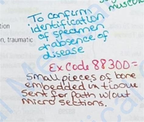 Medical Coding CPT Note Book Images2023 に対する画像結果