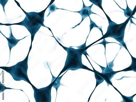 Image result for Deep Learning Neural Network Architectures and Their Names