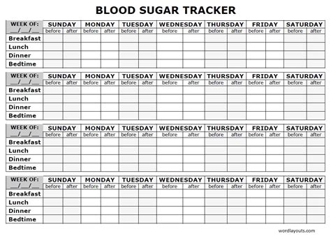 Toradh íomhá ar Blood Glucose Daily Log Sheet