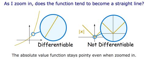Differentiable Function に対する画像結果