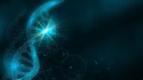 Image result for Abstract Code Banner