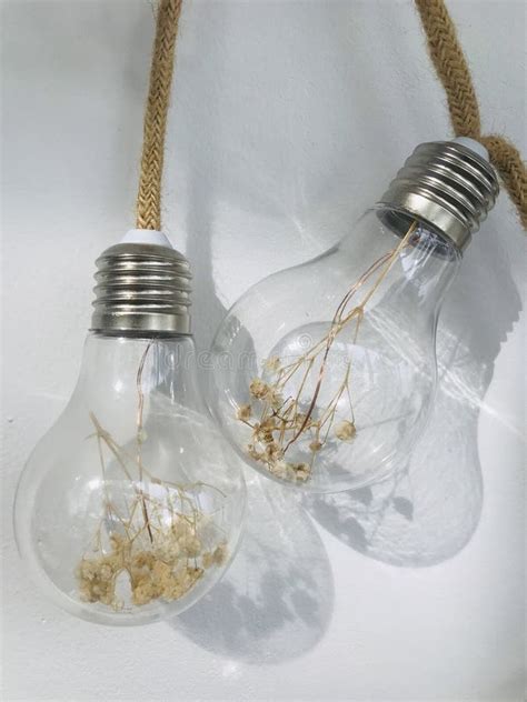 Whit Light Bulb に対する画像結果