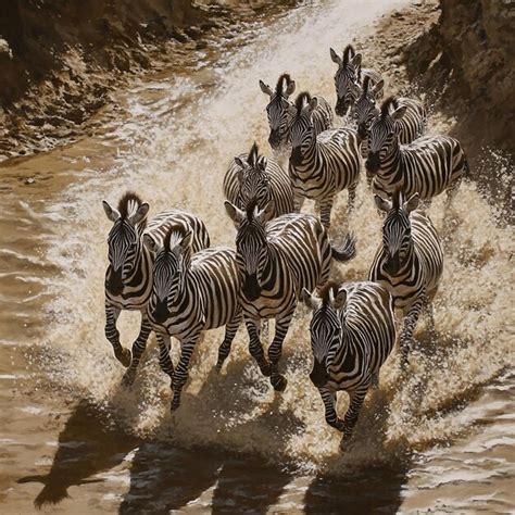 Toradh íomhá ar Animls with Dynamic Forms