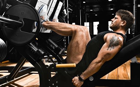 Image result for Extraction Leg Press