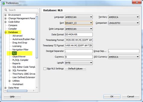 Afbeeldingsresultaten voor SQL Developer Date Format