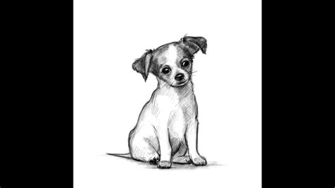 Résultat d’images pour Mini Dog Drawing