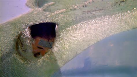 Toradh íomhá ar Water Balloon Slow-Motion