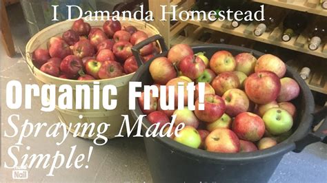 Image result for Homemade Peach Tree Spray