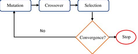 Image result for Different Evolution Optimization Flowchart