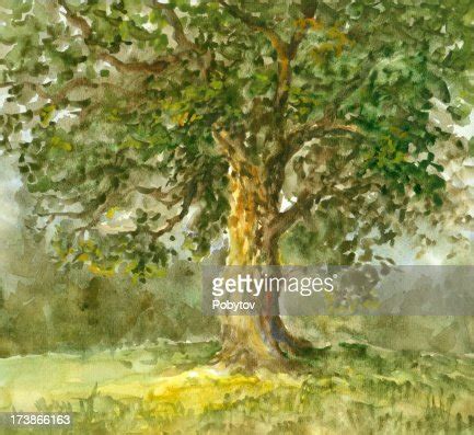 Image result for Great Tree Vector