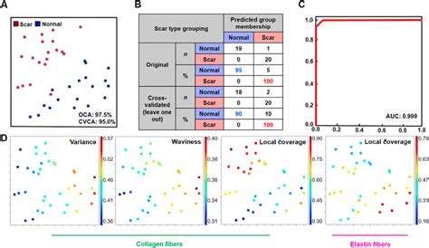 Image result for Scar Tissue Color Curve
