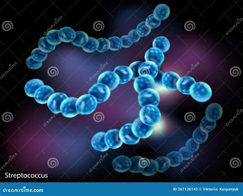 Image result for Strep Gram-positive
