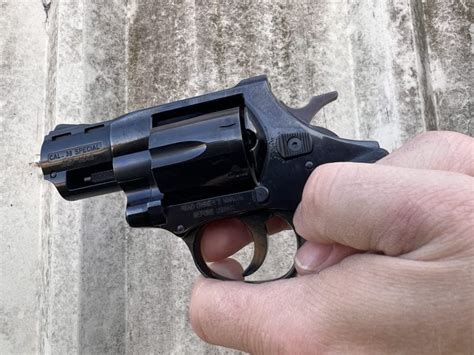 Image result for Snub Nose Macaque