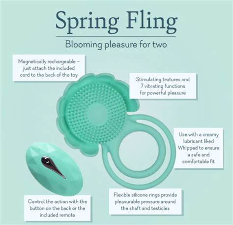 Roco Dual C-Ring に対する画像結果