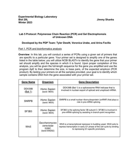 Toradh íomhá ar Lab Protocol Request Examples
