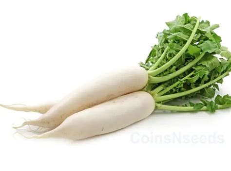 Random Vegetable Generator に対する画像結果