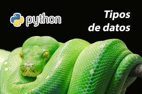 Afbeeldingsresultaten voor Python Tipos