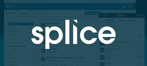 Afbeeldingsresultaten voor Splice Platform