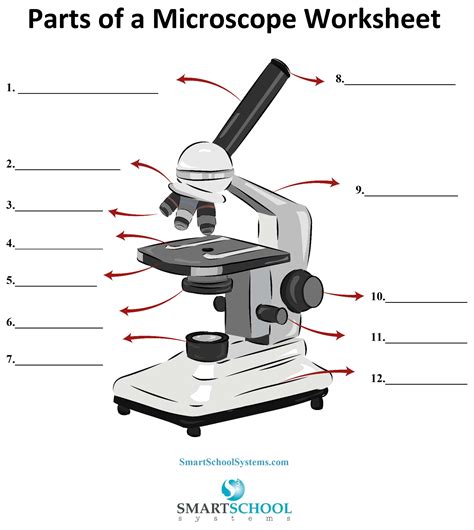 Afbeeldingsresultaten voor Microscope Exam Activity