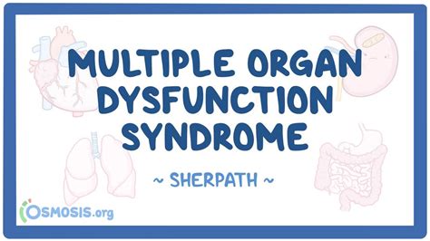 Image result for Multiple Organ Dysfunction Syndrome